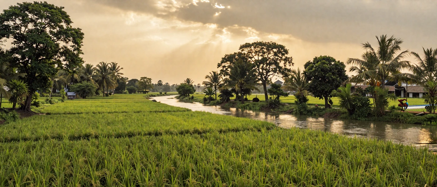 Lush green Bangladesh countryside with rice paddies and river at golden hour representing Bangladeshi culture